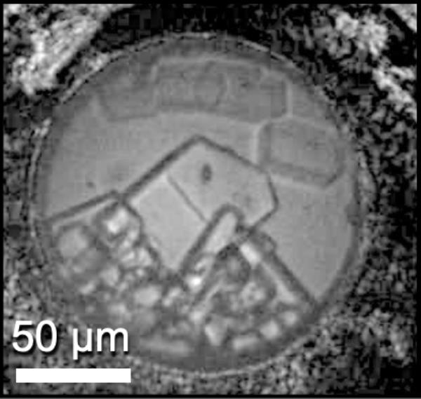 This image shows the newly discovered hydrate that has two sodium chloride molecules for every 17 water molecules. This crystal formed at high pressure but remains stable at cold, low-pressure conditions. Image credit: Journaux et al./PNAS